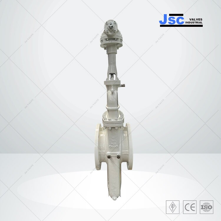 Double Block and Bleed Slab Gate Valve, WCB, API 6D, 12 IN, 150 LB