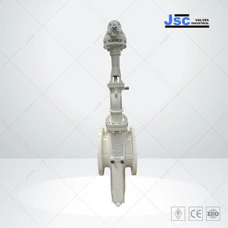 Double Block and Bleed Slab Gate Valve, WCB, API 6D, 12 IN, 150 LB