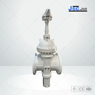 Through Conduit Gate Valve, ASTM A216 WCB, 16 Inch, 300 LB, RF