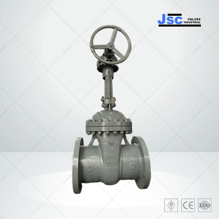 Rising Stem Gate Valve, API 600, WCB, 14 IN, CL300, OS&Y, RF