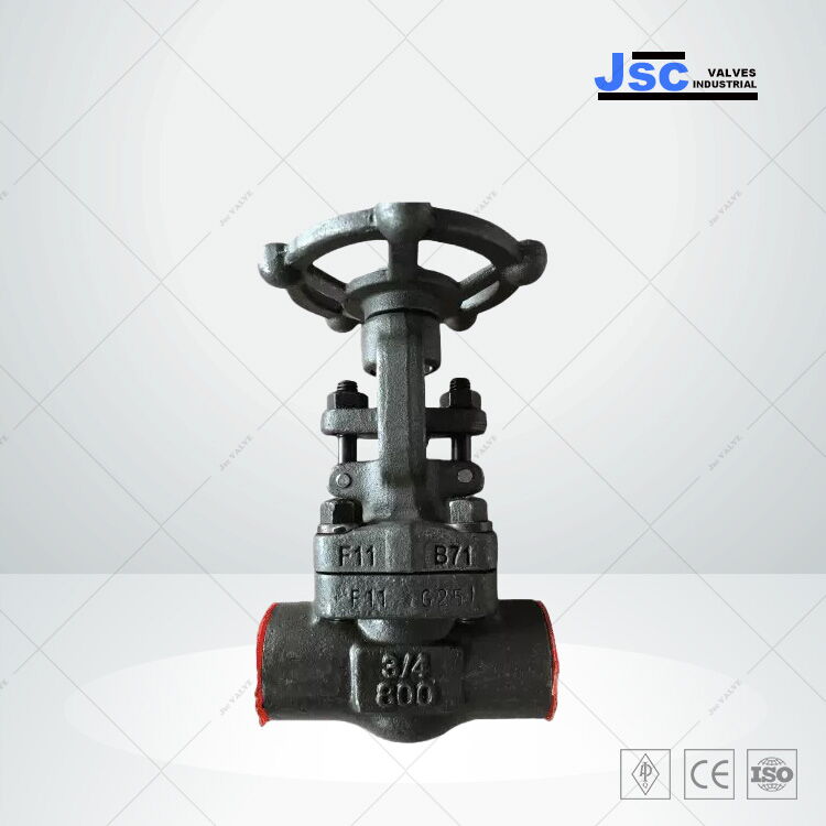 ASTM A182 F11 Gate Valve, 3/4 IN, 800 LB, Bolted Bonnet, NPT