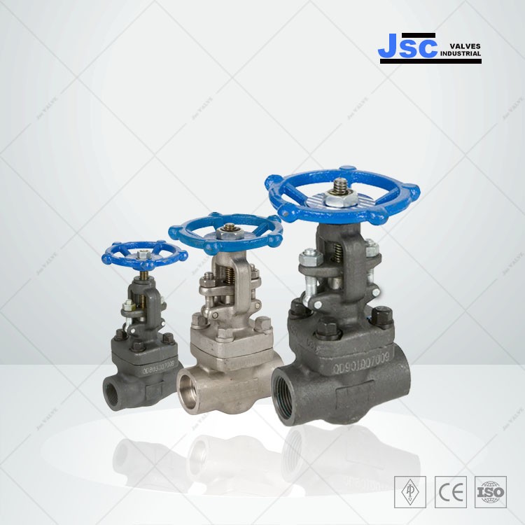 Bolted Bonnet Forged Gate Valve, 1/2-4 Inch, 150-1500 LB
