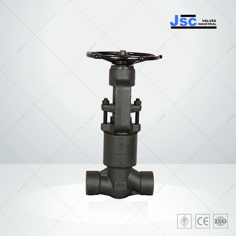 Pressure Seal Bonnet Forged Gate Valve, 1/2-4 IN, 150-1500 LB