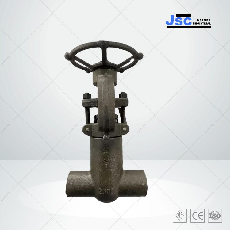 PSB Gate Valve, API 602, ASTM A105N, 1 IN, CL 2500 LB, SW