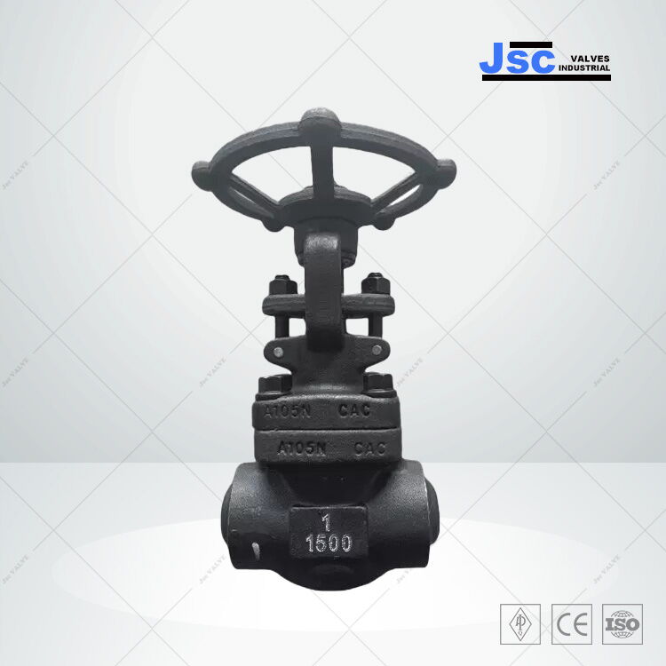 Reduced Bore Gate Valve, API 602, ASTM A105N, 1 IN, CL1500