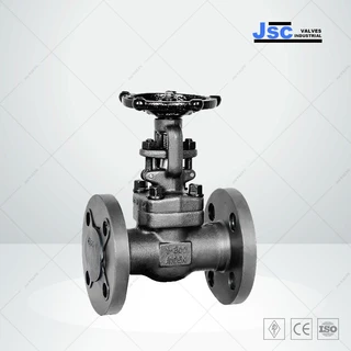 API 602 Bolted Bonnet Gate Valve, 1 Inch, 300 LB, ASTM A105N