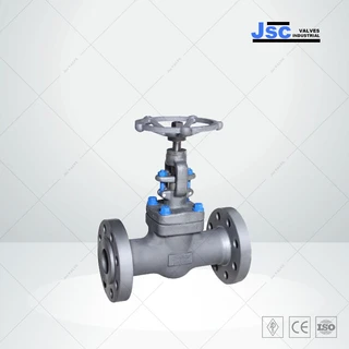 Integral Flanged Gate Valve, API 602, A105N, 2 Inch, 600 LB