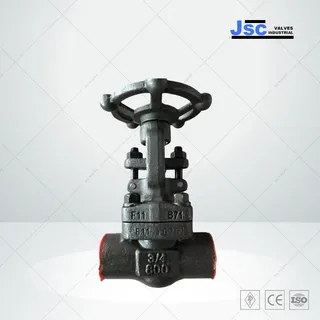 ASTM A182 F11 Gate Valve, 3/4 IN, 800 LB, Bolted Bonnet, NPT