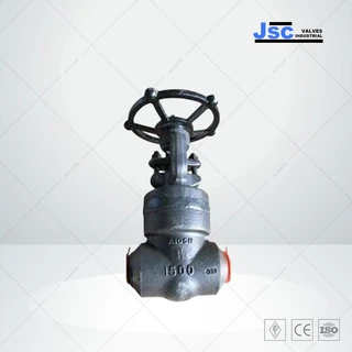 ASTM A105N Gate Valve, API 602, 1 Inch, 1500 LB, DN25, PN250