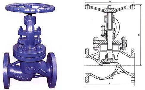 DIN Globe Valve