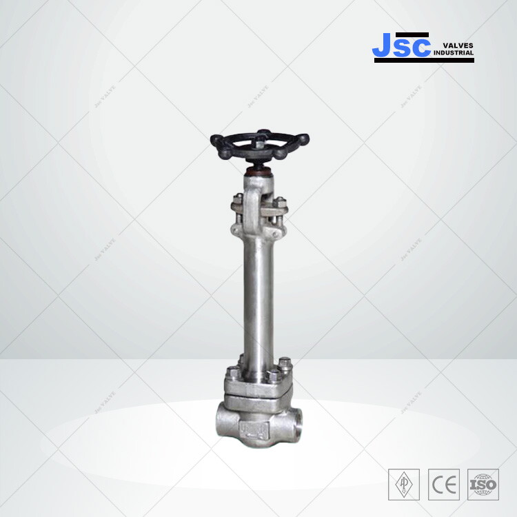 API 602 Cryogenic Globe Valve, A182 F316, 2 IN, CL 1500, BW