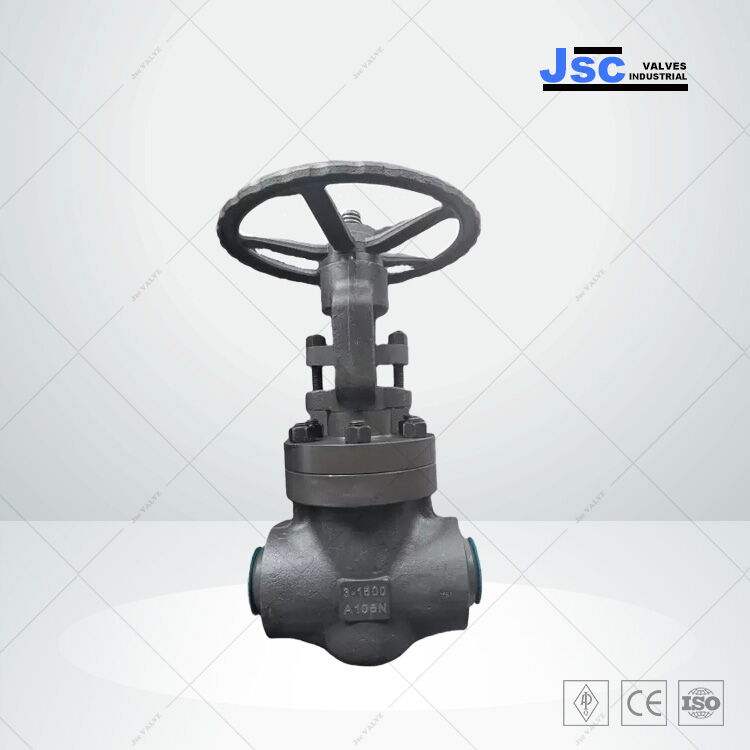API 602 Globe Valve, ASTM A105N, 3 Inch, 1500 LB, BB, BW