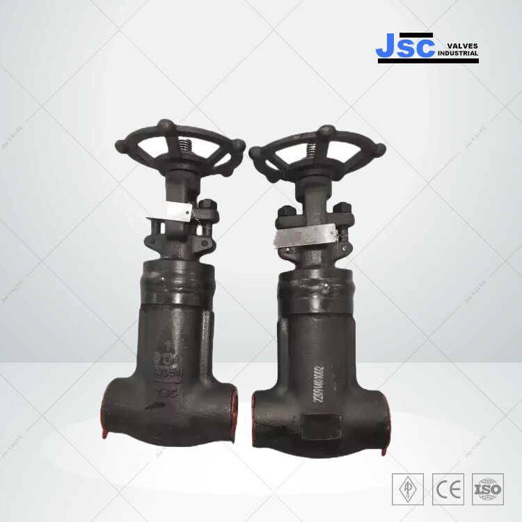 ASTM A105N Globe Valve, Bellows Seal, API 602, 1 IN, 600 LB