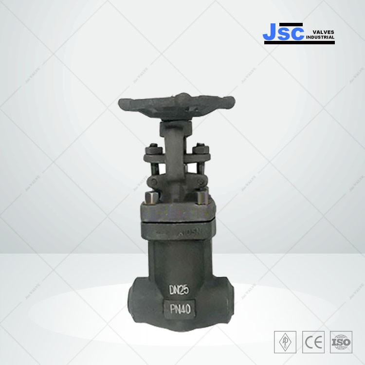 Bellows Seal Forged Globe Valve, API 602, 1/4-3 IN, 150-800 LB