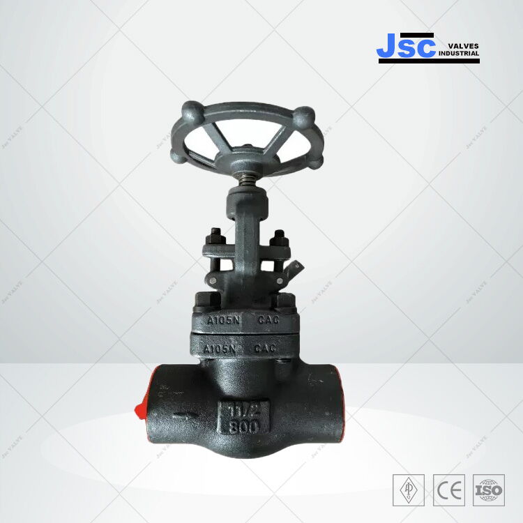 Carbon Steel Globe Valve, ASTM A105N, 1-1/2 IN, CL 800, NPT
