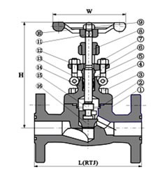Integral Flanged Forged Globe Valve Integral Flanged Forged Globe Valve