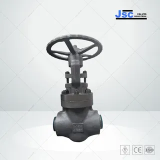 API 602 Globe Valve, ASTM A105N, 3 Inch, 1500 LB, BB, BW