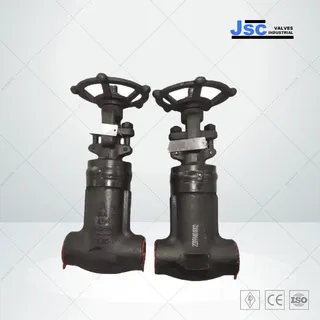 ASTM A105N Globe Valve, Bellows Seal, API 602, 1 IN, 600 LB