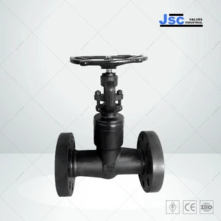 Welded Bonnet Forged Globe Valve, 1/2-3 Inch, 150-4500 LB