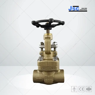 ASTM B150 C61900 Globe Valve, API 602, 1 IN, 800 LB, NPT End