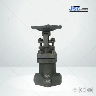 Bellows Seal Forged Globe Valve, API 602, 1/4-3 IN, 150-800 LB