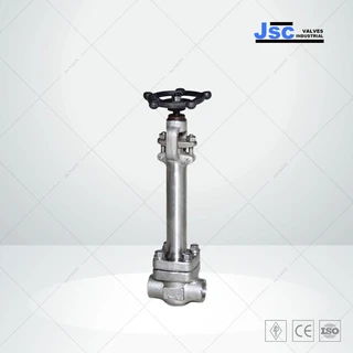 API 602 Cryogenic Globe Valve, A182 F316, 2 IN, CL 1500, BW