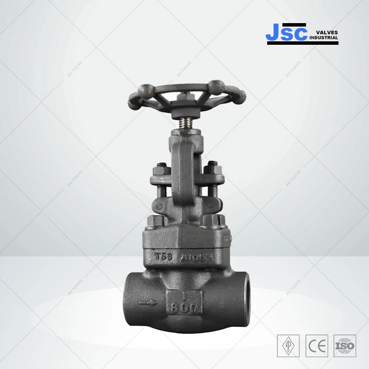 API 602 Bolted Bonnet Globe Valve, A105N, 1 IN, CL 800, SW