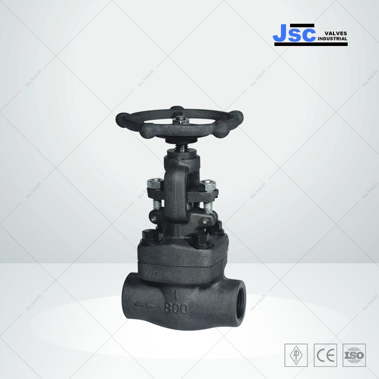 Threaded Forged Globe Valve, API 602, 1/2-3 IN, 150-4500 LB