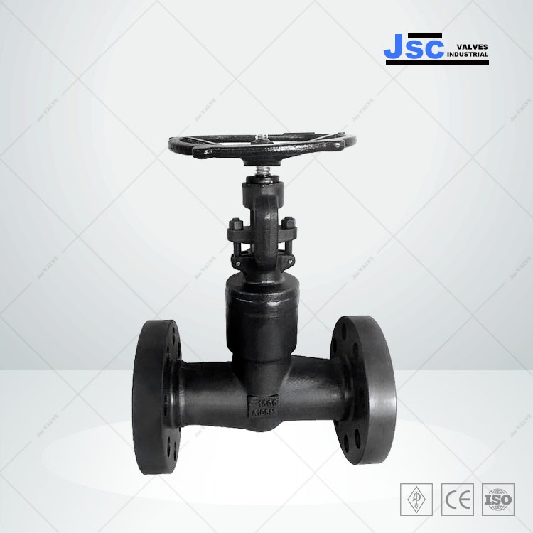 Welded Bonnet Forged Globe Valve, 1/2-3 Inch, 150-4500 LB