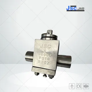 API 599 Lubricated Plug Valve, A182 F316, 1 Inch, 3000 PSI