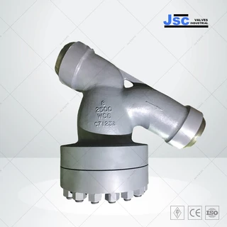High Pressure Y Strainer, WCC, ASME B16.34, 8 Inch, 2500 LB