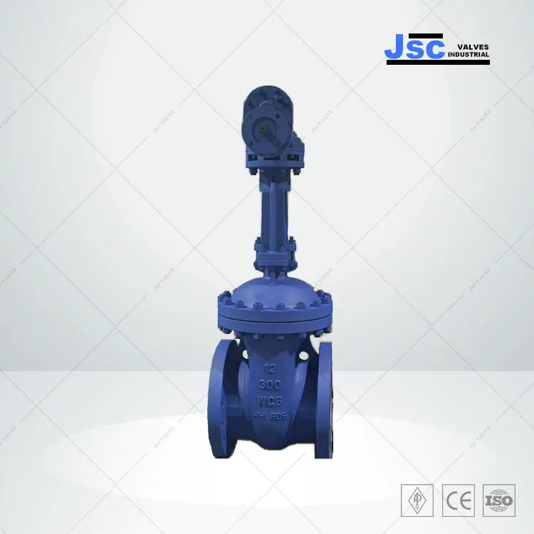 API 600 Wedged Gate Valve 12inch 300LB WC6