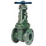 OS&Y Ductile Iron Gate Valve: Flanges,150 psi,class 150
