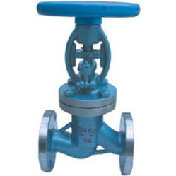 A216 Bellows Globe Valve, 150-900Lb, ASME B16.5