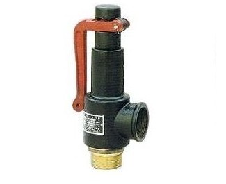 Cast Iron Low Lift Safety Valve, Ht200