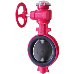 Cast Iron Wafer Signal Butterfly Valve