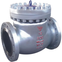 Cryogenic Swing Check Valve
