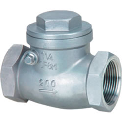 Internal Screw Check Valve, SS, PN1.6MPa