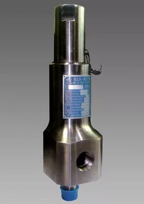 Stainless Steel High Pressure Safety Valve, PN16, PN32