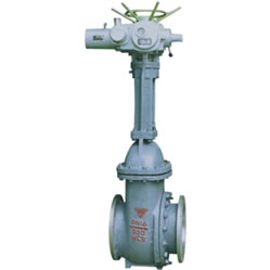 Scum Gate Valve