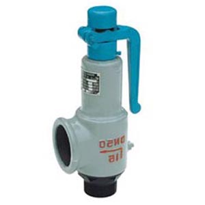 Spring Low Lift Safety Valve, WCB, PN4.0