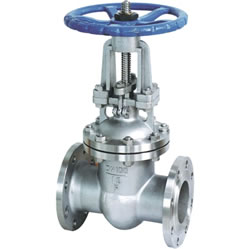 Stainless Steel Gate Valve