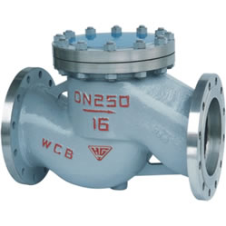 Steel Lift Check Valve