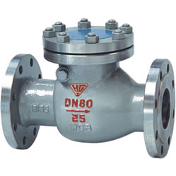 Steel Swing Check Valve