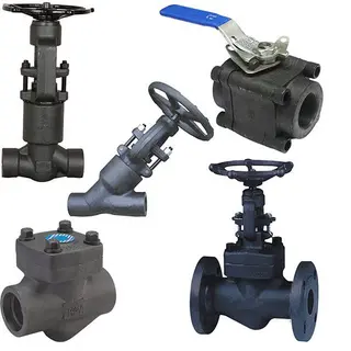 Forged Steel Valves