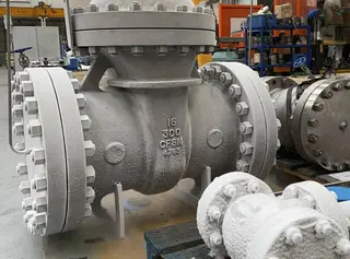 Cryogenic Gate Valves