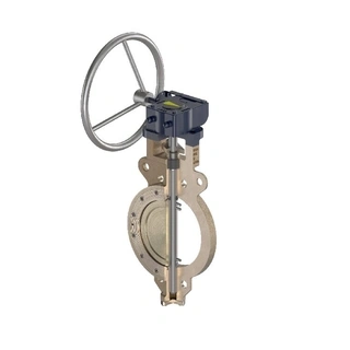 Double Offset Butterfly Valve
