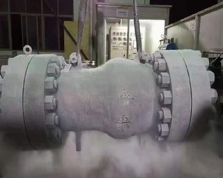 Cryogenic Check Valves