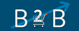 B2B Platforms
