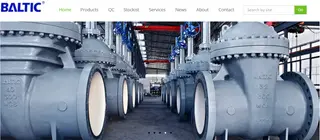 Baltic Valve